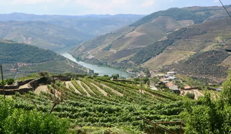 DOURO VALLEY TOURS FROM PORTO WITH THE OTHER SIDE PORTO - From East to ...