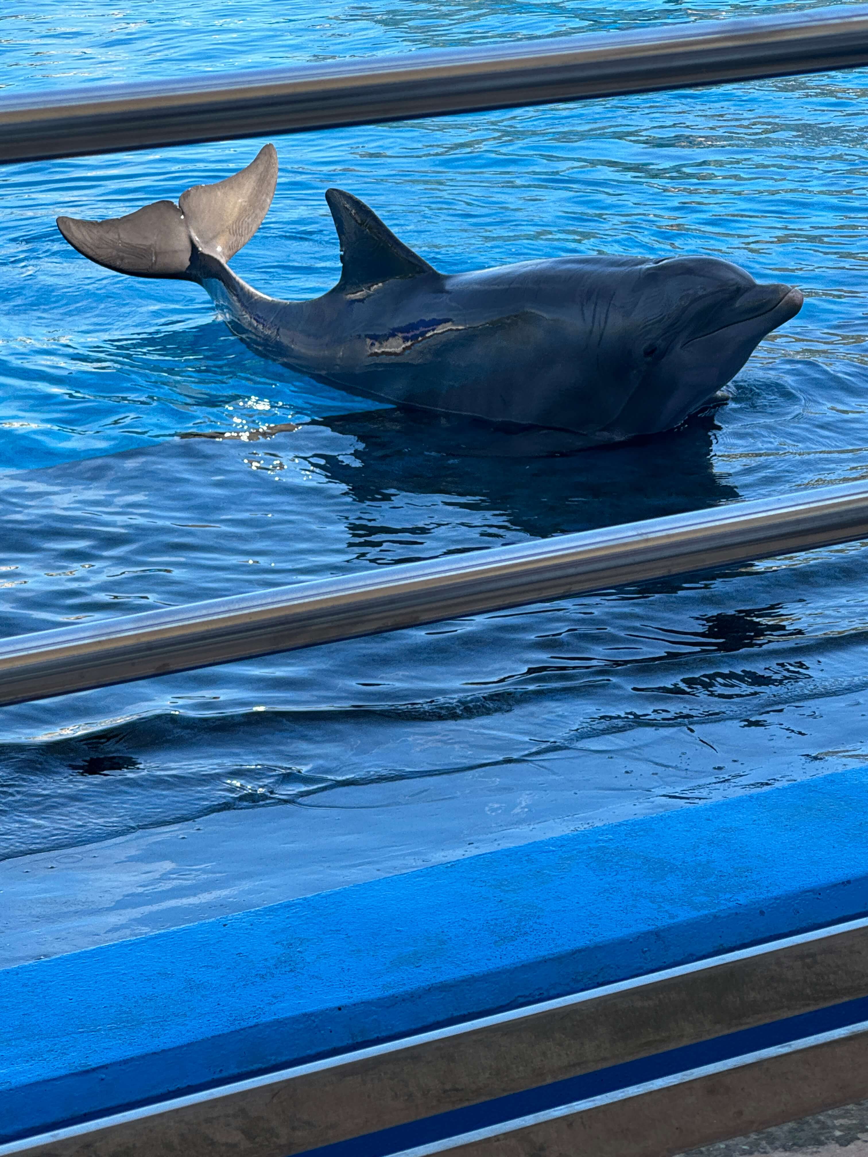 valencia aquarium