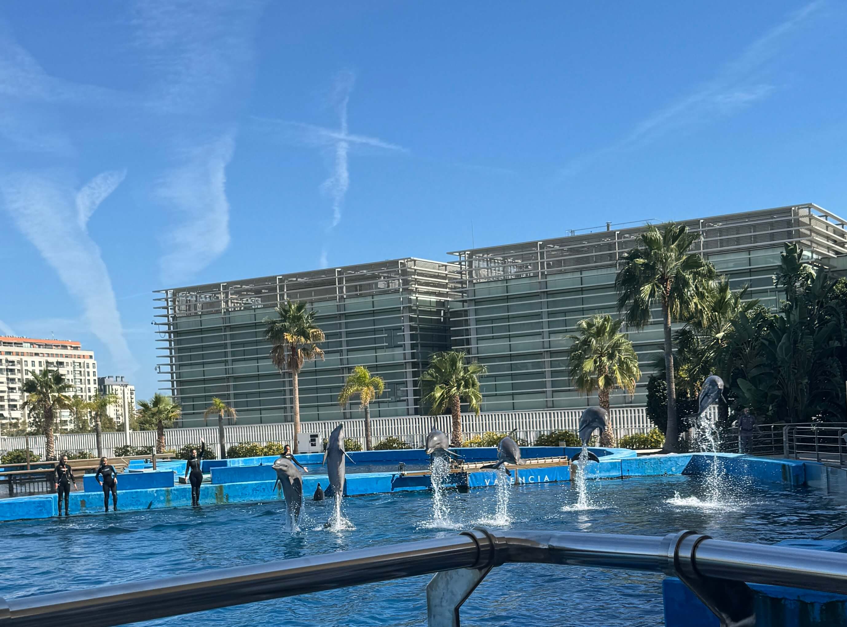 valencia aquarium