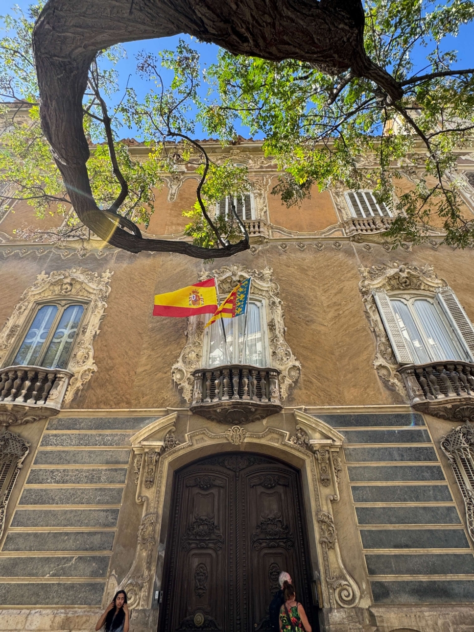 valencia palau marques de dos aguas